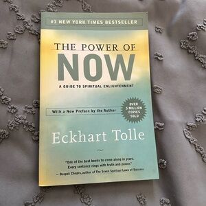 The power of now book